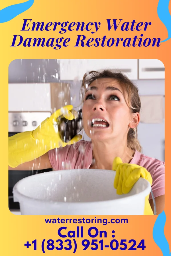 Emergency Water Damage Restoration in East Harwich, MA
