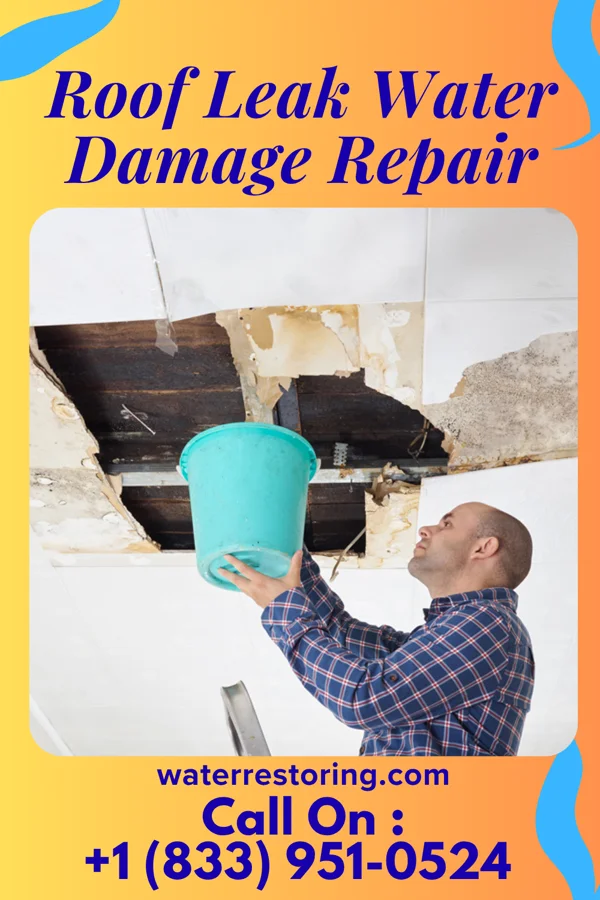 Roof Leak Water Damage Repair in East Harwich, MA